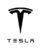 Tesla Logo